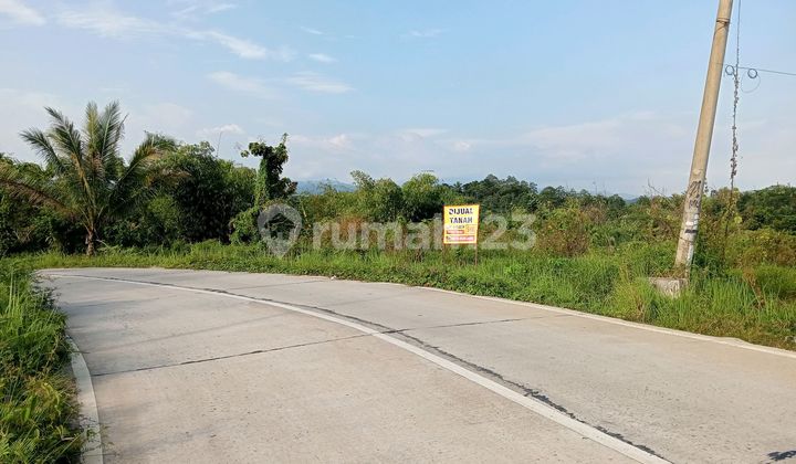 Tanah Murah Shm Daerah Panggarangan Lebak Banten Tanah Murah Shm Daerah Panggarangan Lebak Banten