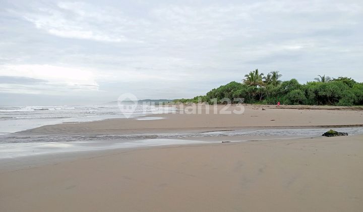 Tanah Pinggir Pantai Selatan Lebak Banten Dekat Pelabuhan Cemindo Tanah Pinggir Pantai Selatan Lebak Banten Dekat Pelabuhan Cemindo