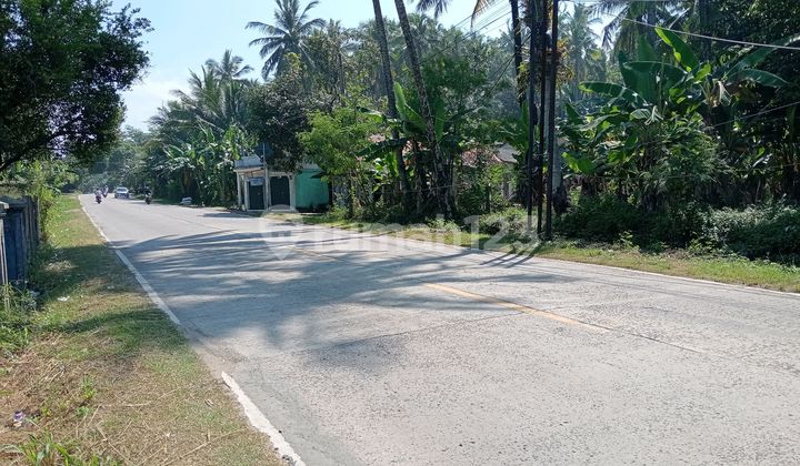 Tanah Mainroad Bayah Dekat Pabrik Semen Merah Putih Cemindo Tanah Mainroad Bayah Dekat Pabrik Semen Merah Putih Cemindo