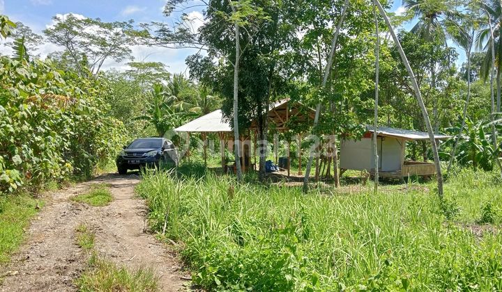 Affordable Strategic Land Near Government Land In Cikumpay Panggarangan