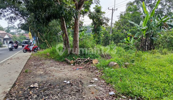 Tanah Strategis Dkt Gerbang Tol Rangkasbitung Utk Gudang Pabrik