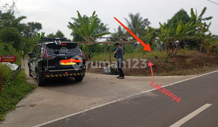 Tanah Kebun Durian Dekat Pusat Kota & Tol Rangkasbitung Tanah Kebun Durian Dekat Pusat Kota & Tol Rangkasbitung