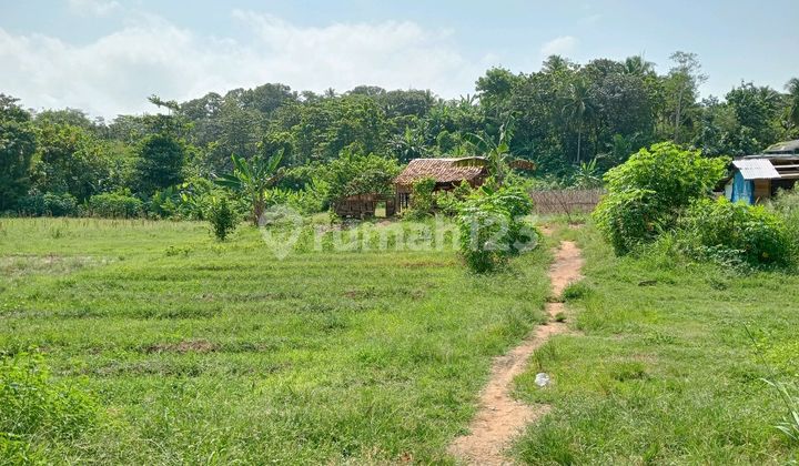 Tanah Dekat Pantai Mainroad Jalan Nasional Bayah