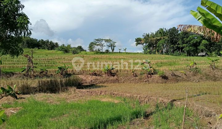 Tanah Pinggir Pantai Selatan Banten Dikawasan Geopark Bayah Dome Tanah Pinggir Pantai Selatan Banten Dikawasan Geopark Bayah Dome