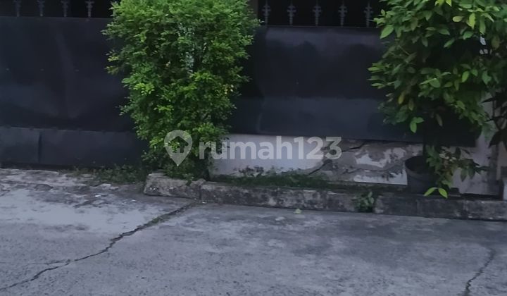 1423 Rumah tua greenville 1