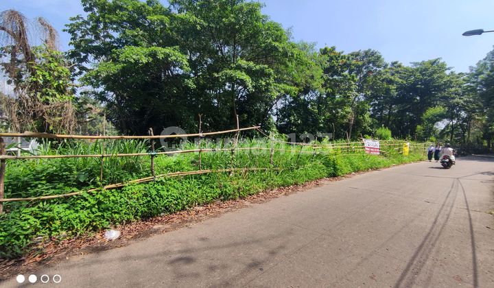 Tanah Murah Bogor Kota Lokasi Strategis Cocok Untuk Perumahan  1