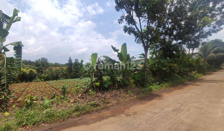 Kavling cocok untuk gudang lokasi Kemang Parung Bogor  1