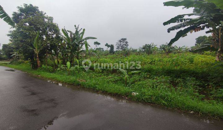 Tanah Ciawi Puncak Bogor Harga Murah Cocok Untuk Kios  2