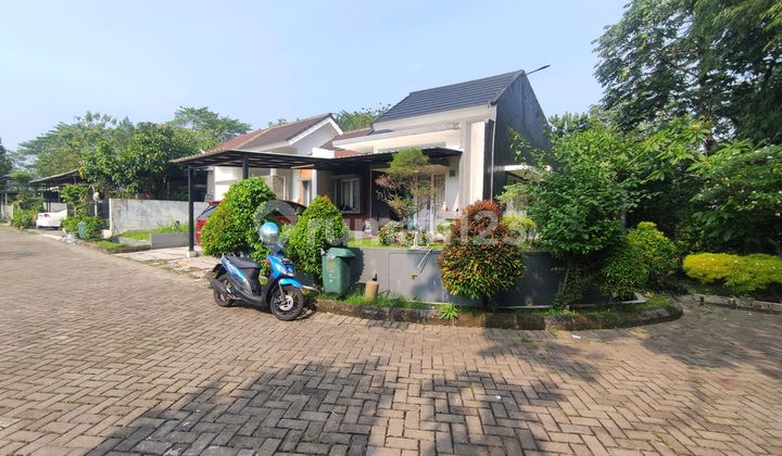 Rumah Royal Tajur Hook Posisi Dekat Jalan Raya Rumah Royal Tajur Hook Posisi Dekat Jalan Raya