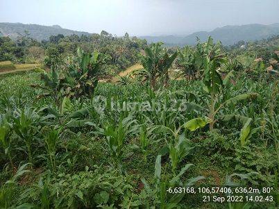 Dijual Tanah Kebun View Cantik 2