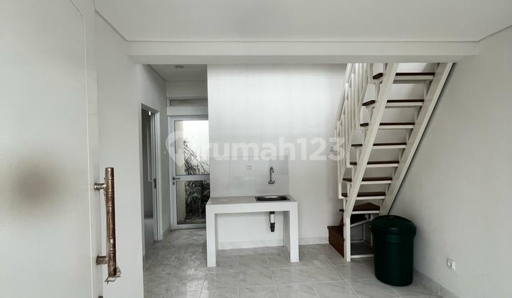 Modern house Paramount Petals cluster Aster