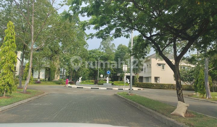 Largest House Type in Cajuputi De Park, BSD City 2