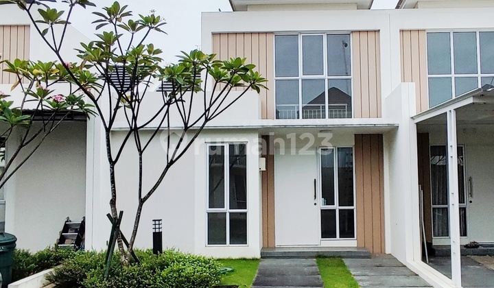 Modern house Paramount Petals cluster Aster