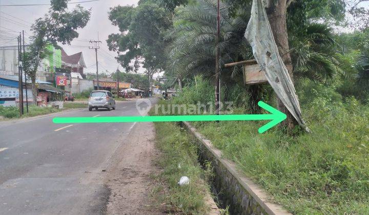 Dijual Cepat Tanah Di Sajira Lebak Banten 1