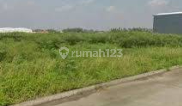 Termurah Kavling Laksana 2 Gandeng Luas 900 Meter Termurah Kavling Laksana 2 Gandeng Luas 900 Meter