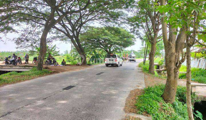 Tanah shm pinggir jalan raya di Jalan raya Onggorawe mranggen Demak SHM 6