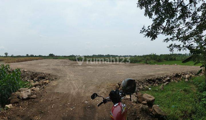 Tanah shm pinggir jalan raya di Jalan raya Onggorawe mranggen Demak SHM 7