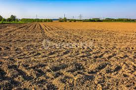 Land 100 m2 HGB North Biak, Biak Numfor