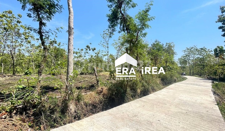 Cheap Land with Truck Access in Sambi Boyolali