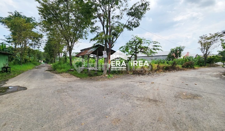 Tanah Hook Area Kawasan Pergudangan di Sragen Kalijambe