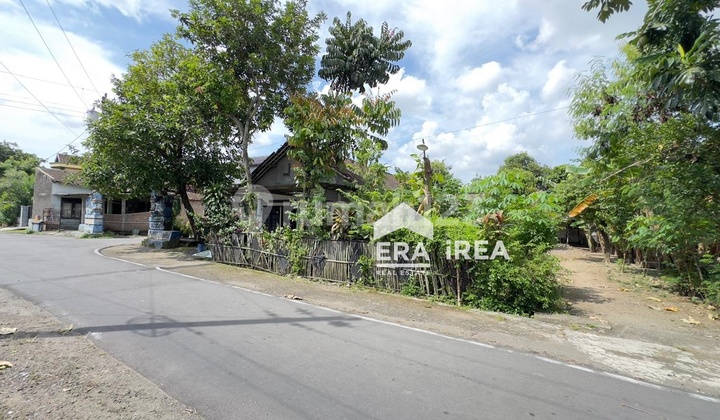 Cheap Land for Sale in Solo Near Donohudan Village Hall Cheap Land for Sale in Solo Near Donohudan Village Hall