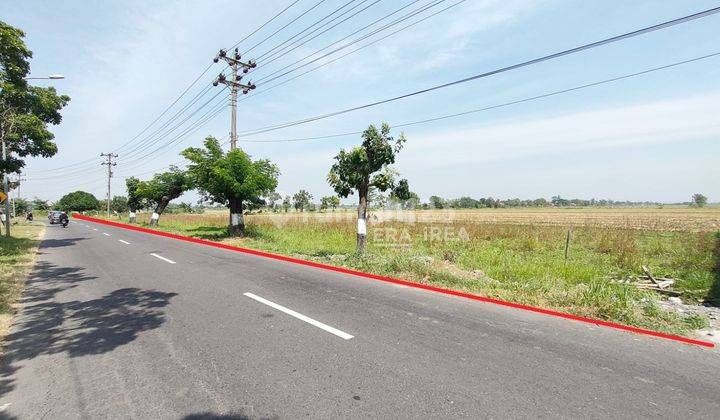 Tanah Murah Strategis di Jl. Raya Baki - Manang Sukoharjo 2