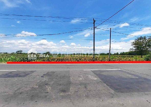 Tanah Murah Siap Bangun Dekat SPBU Jatinom Boyolali 1