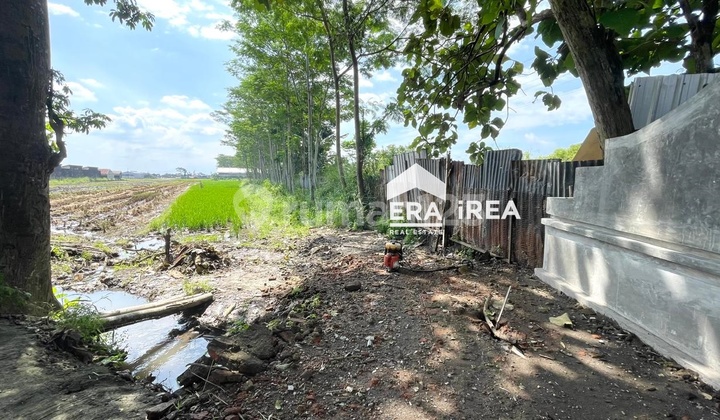 Tanah Murah Dijual di Solo Kartasura Dekat De Tjolomadoe