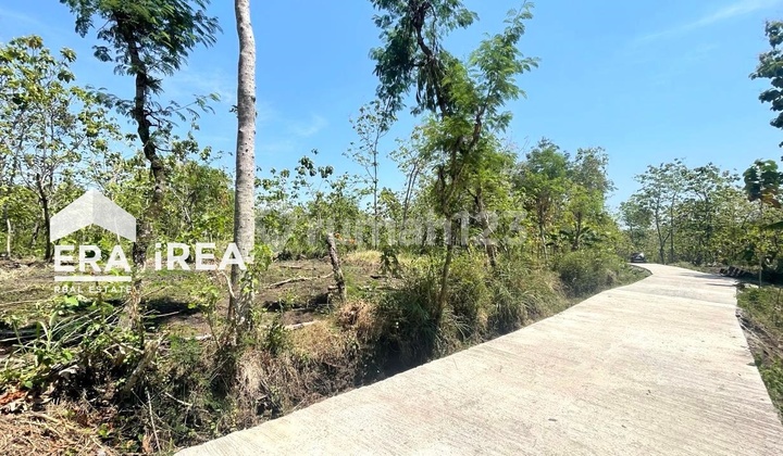 Cheap Land with Truck Access in Sambi Boyolali