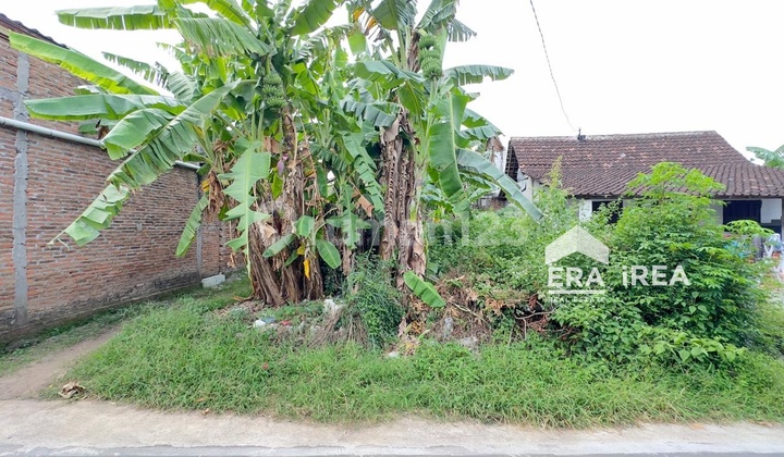 Dijual Tanah Murah Area Kraton Kartasura Solo Dijual Tanah Murah Area Kraton Kartasura Solo