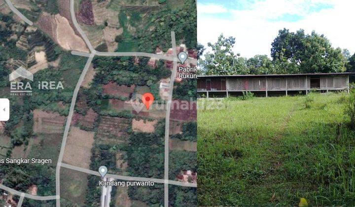 Dijual Tanah Murah di Sragen Cocok Untuk Peternakan 1