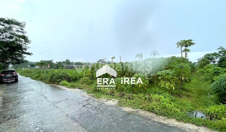 Dijual Tanah Strategis Dekat Pabrik Pt So Goodboyolali Solo Dijual Tanah Strategis Dekat Pabrik Pt So Goodboyolali Solo