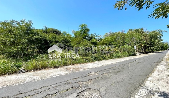 Land For Sale in Strategic Area, Sambi Boyolali