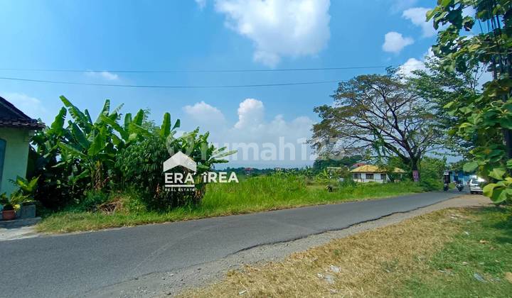 Cheap Land for Rent in Banguntapan Bantul