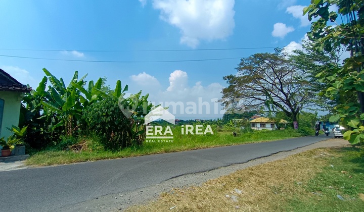 Cheap Land for Rent in Banguntapan Bantul