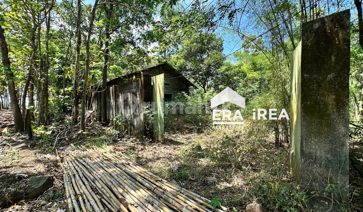 Land for Sale with Free Warehouse in Sambi, Boyolali Area.