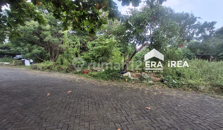 Tanah Murah Area Cluster Exclusive di Sleman Tanah Murah Area Cluster Exclusive di Sleman