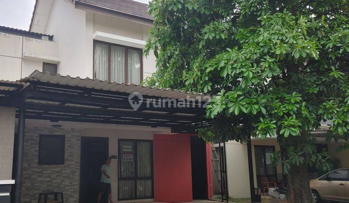 Disewakan Rumah Renovasi Bagus Dan Siap Huni 1