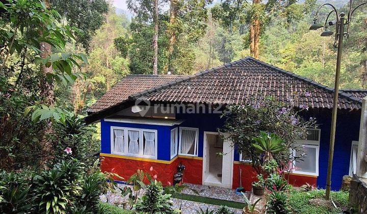 Villa Siap Pakai Di Megamendung Puncak Dingin  1