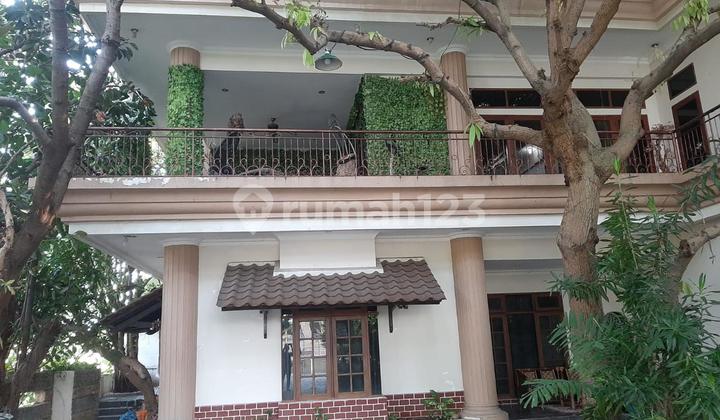 Rumah Bagus Semarang 1000M2 1