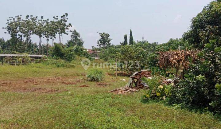 Dijual Tanah Daerah Gunung Sindur Bentuk Hampir Rata 2