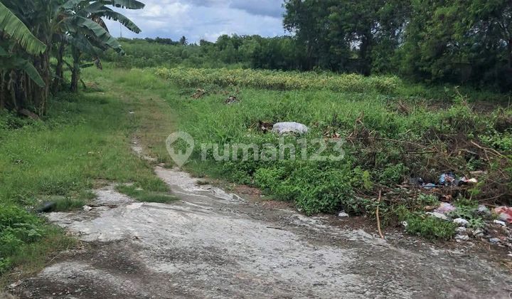 Industrial Land for Sale, Adjacent to Serang Main Road Industrial Land for Sale, Adjacent to Serang Main Road