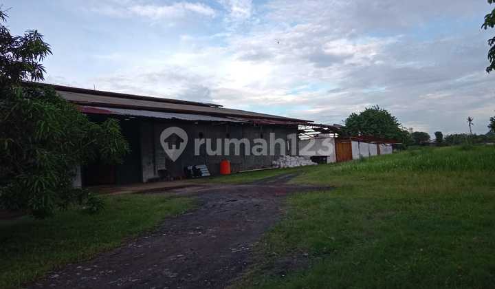 Eksklusif!! Dijual Murah Tanah & Bonus Gudang Nego 