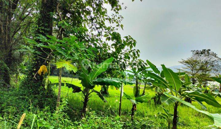 Tanah Kavling Sertipikat Di Cluster Eklusif Sentul City Bogor  2