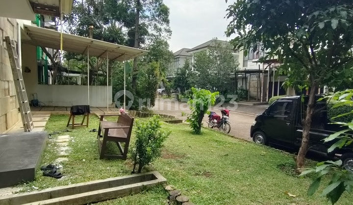 Hook House Next to a Green Lush House Area 2