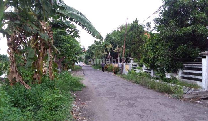 Rumah Wiyung Dkt Citraland Pakuwon Royal Residence Graha Natura 2