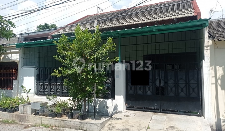 Dijual Rumah Siap Huni Sutorejo Utara Dkt Mulyorejo Pantai Mentari