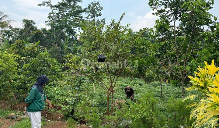 Di Daerah Yang Asri Dan Sejuk Di Taman Dramaga Permai, Ciampea Bogor