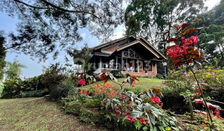 Super Wow Villa, Panorama of Beautiful Nature at Puncak Bogor Super Wow Villa, Panorama of Beautiful Nature at Puncak Bogor