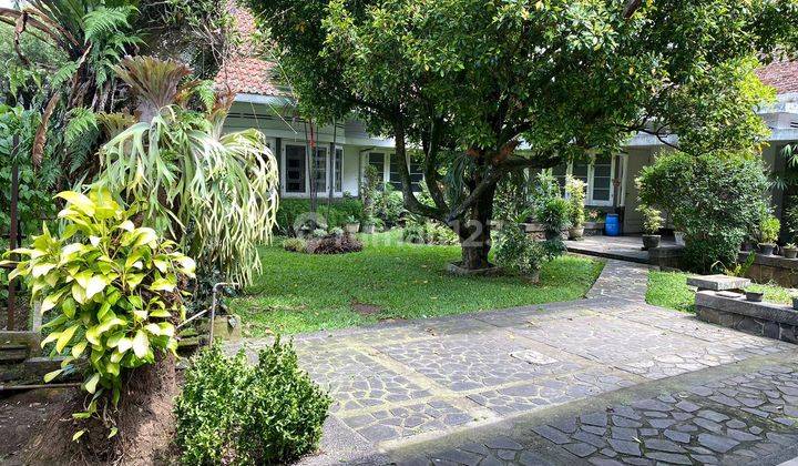 Rumah Asri Strategis Cocok Untuk Bisnis Investasi di Bandung  1